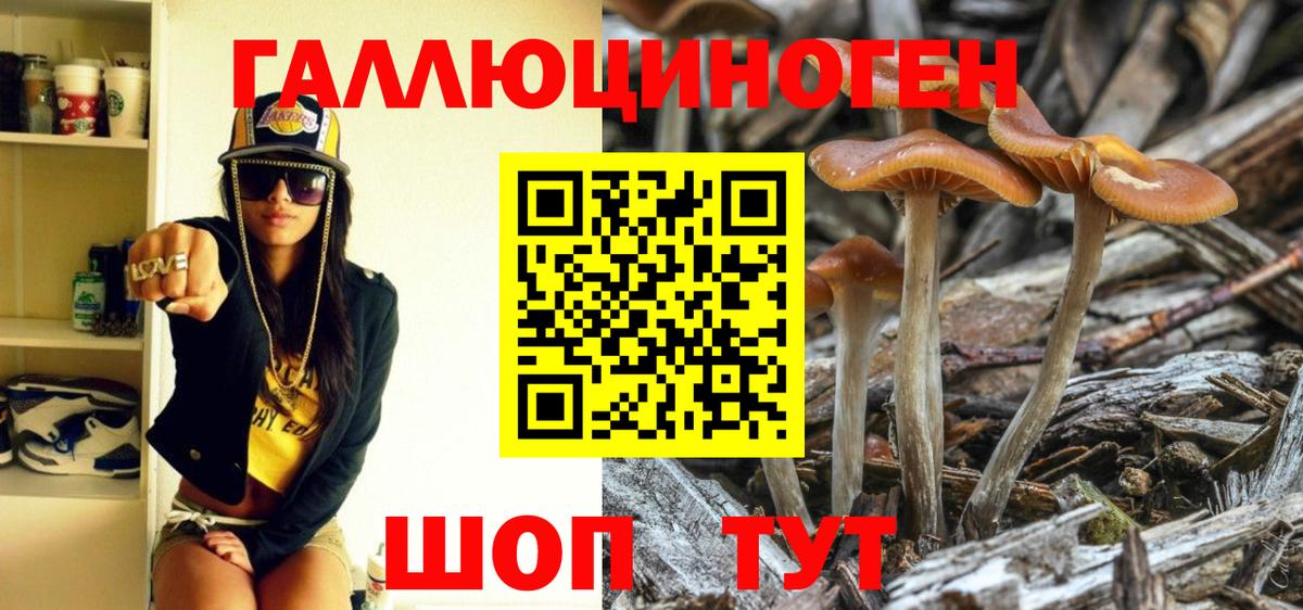 Галлюциногенные грибы GOLDEN TEACHER  Вход с VPN  Железногорск 